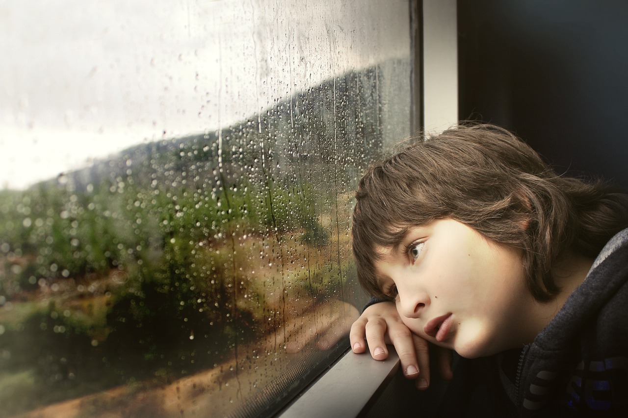 little boy, window, waiting-731165.jpg